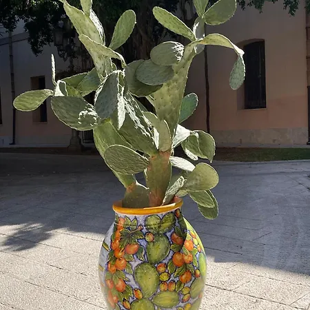 Casa Rosina Apartment San Vito Lo Capo